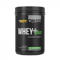 Bigjoy Sports On The Go Whey+Plus